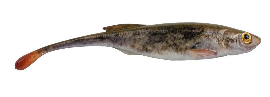 Berkley Powerbait Drip Minnow