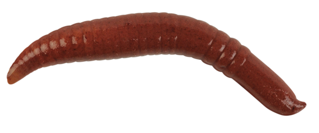 Berkley Gulp Alive | Floating Pinched Crawler