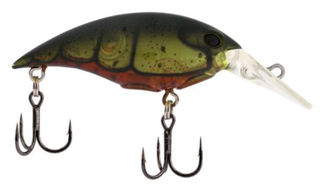 Berkley Money Badger