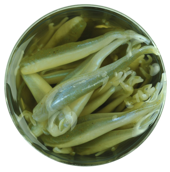 Berkley Gulp Alive | Minnow