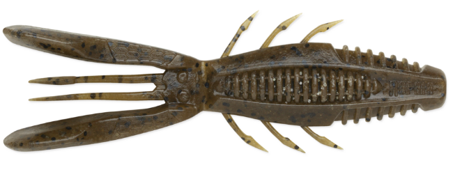 Rapala Crush City Bronco Bug