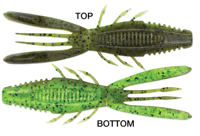 Rapala Crush City Bronco Bug