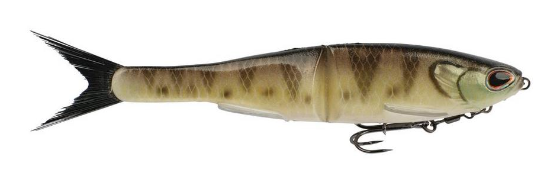 Berkley Nessie