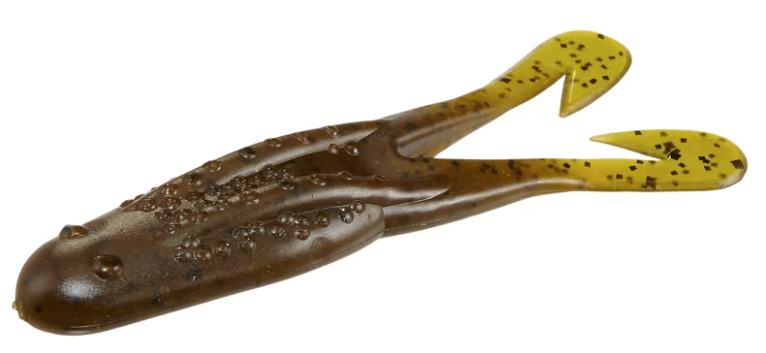 Zoom Horny Toad
