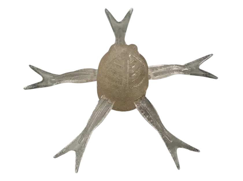 Jackall Jimmy Henge 42 Power Salt (creature) - FECO Certified