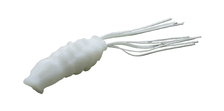 Nories Tanny Frog Popper – #TF01 Site White