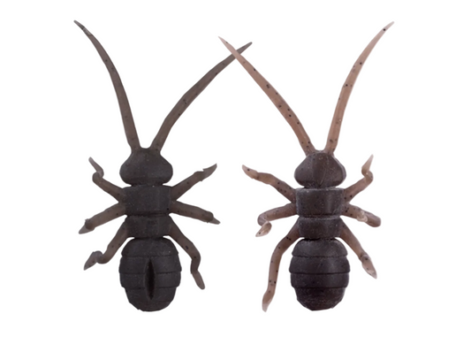 Ori Kane Mushi 2 (topwater beetle) - FECO