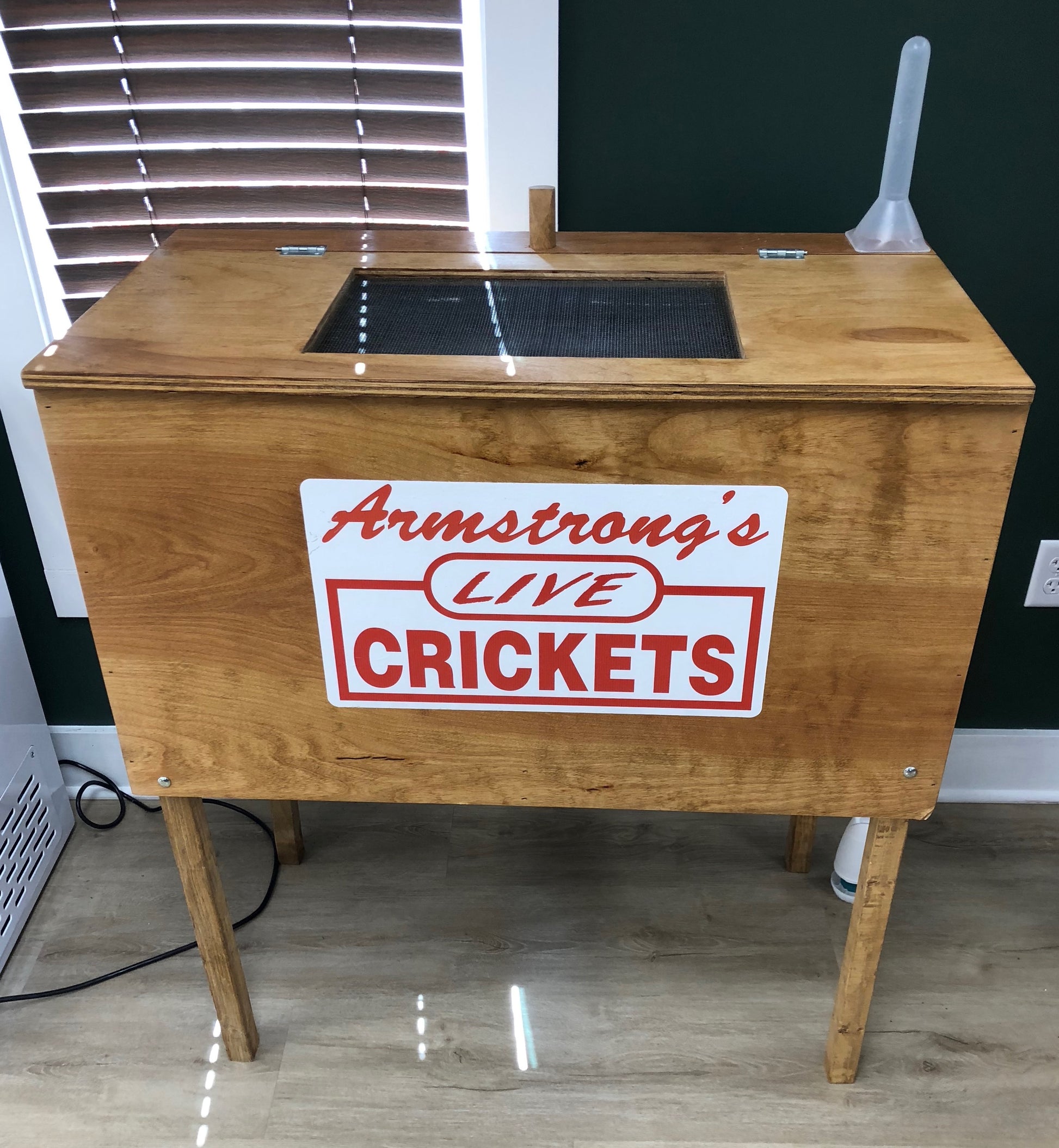 Live Crickets