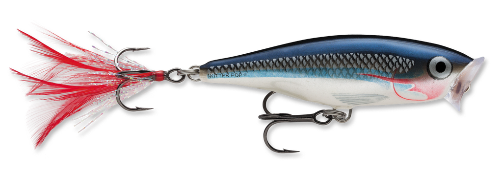 rapala skitter pop shad