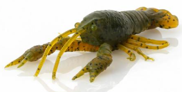 Savage Duratech NED Craw