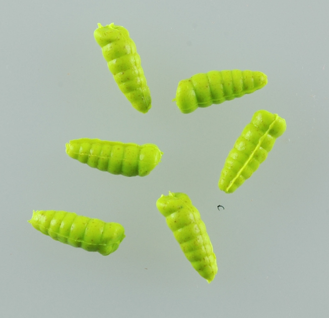 Gulp Alive | Waxies | Chartreuse