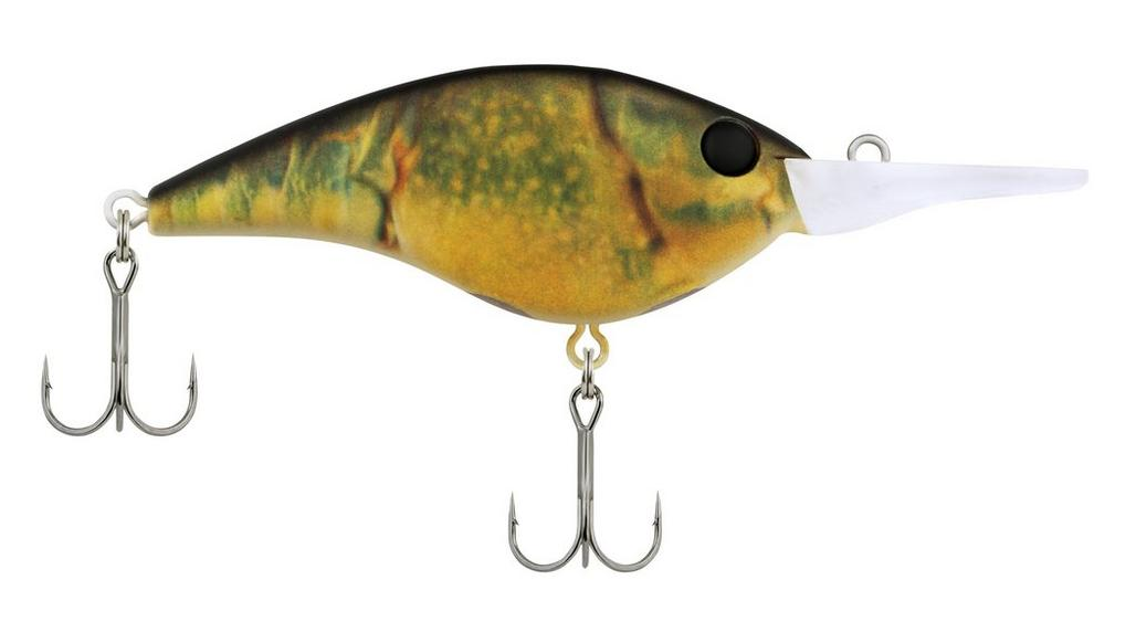 Berkley Fittside
